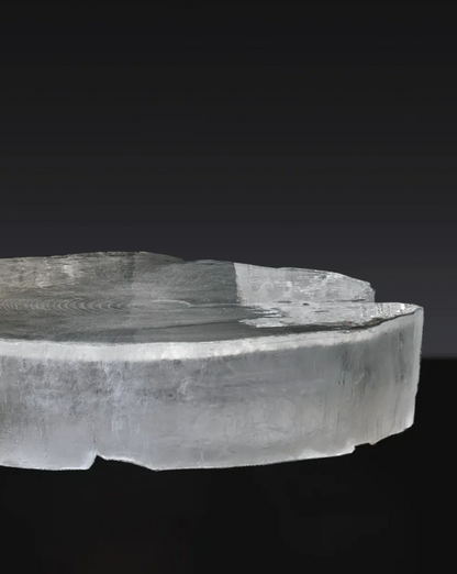 LYFAIRS x GORDON GU Lotus Coffee table