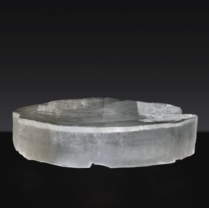 LYFAIRS x GORDON GU Lotus Coffee table